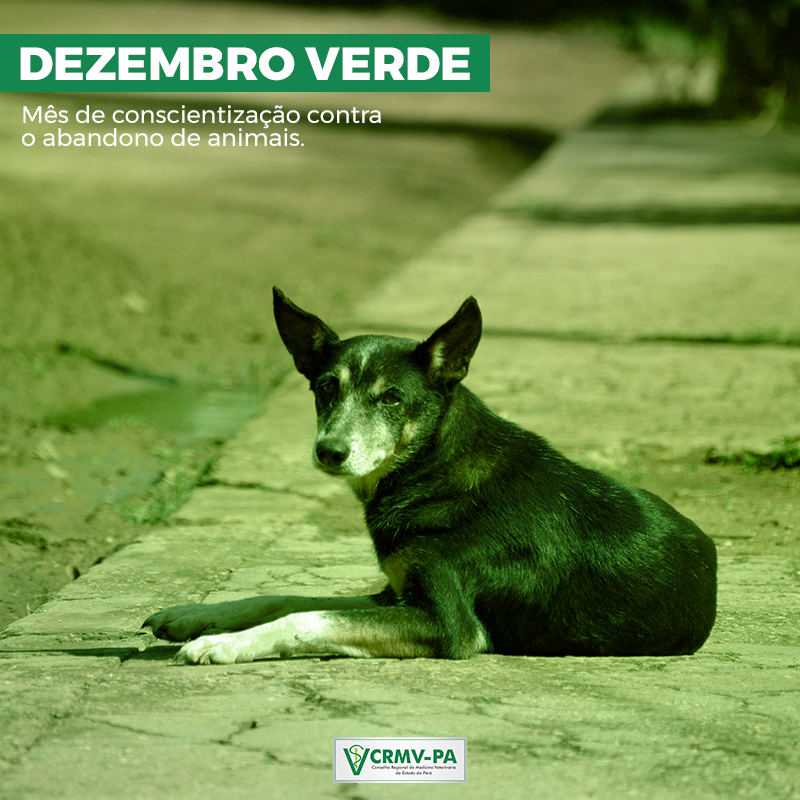 dezembroverde